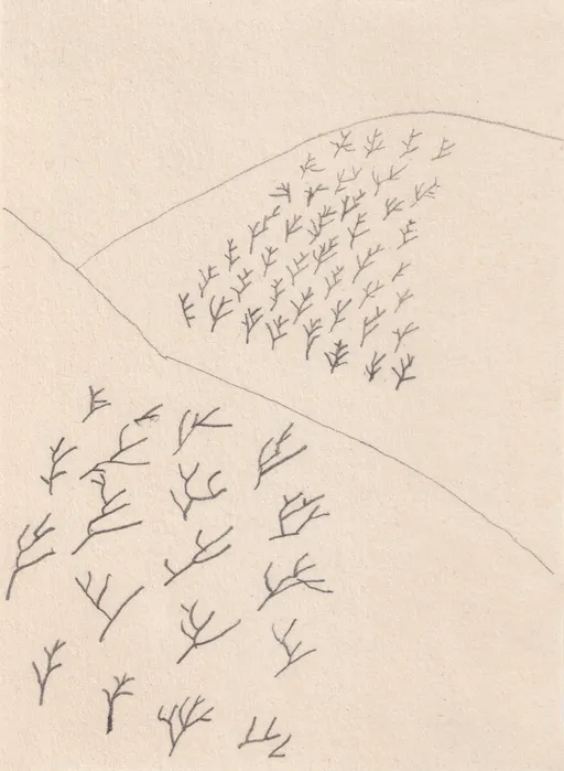 Apple Farms in the Spring, Semirom Series, 2025, pencil on paper, 14 x 10 cm