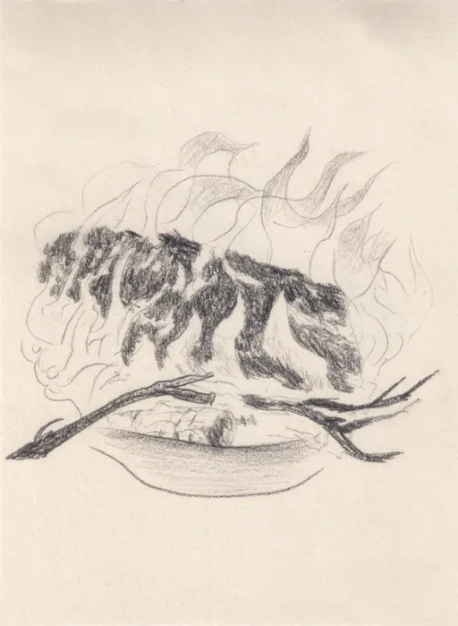 Fire V, Semirom Series, 2025, pencil on paper, 14 x 10 cm