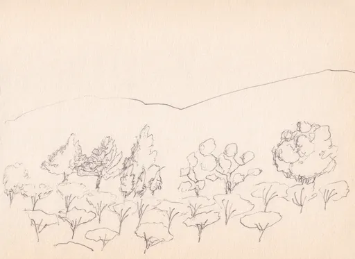 Imagining Lorestan in Gilan, 2024, ink on paper, 14 x 10 cm