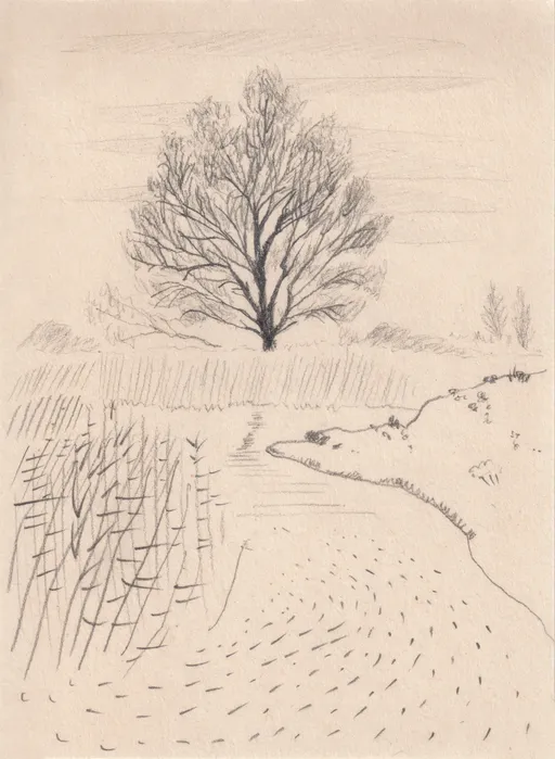 The One Who Gets Away, Semirom Series, 2025, pencil on paper, 14 x 10 cm