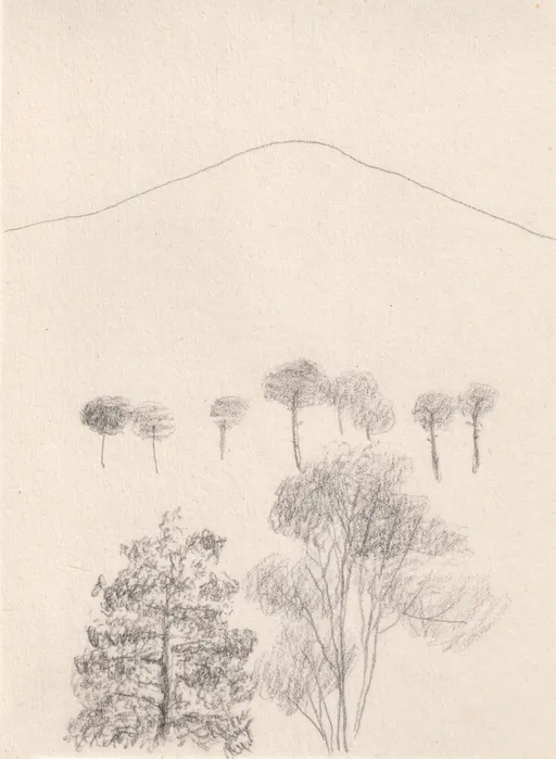 We're Coming, Semirom Series, 2025, pencil on paper, 14 x 10 cm